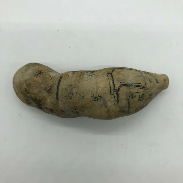 FS RARE VTG Japanese anatomical model Science anatomy Japan vintage