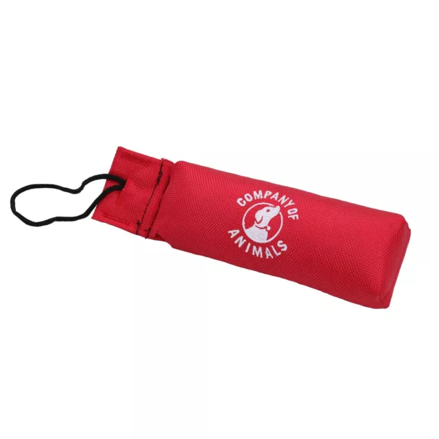 Accesorio de entrenamiento de recuperación de lona mediana dura para perro ficticio cachorro