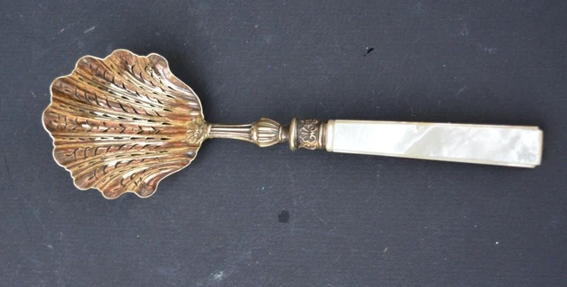 Cuillère à Œufs En Nacre - 12cm - Fabrication Artisanale - Élégant Et Pratique