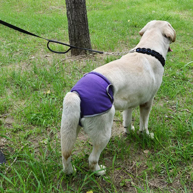 (XL-Purple)Dog Nappies For Female Dogs Washable Protective Pants Reusable Dog