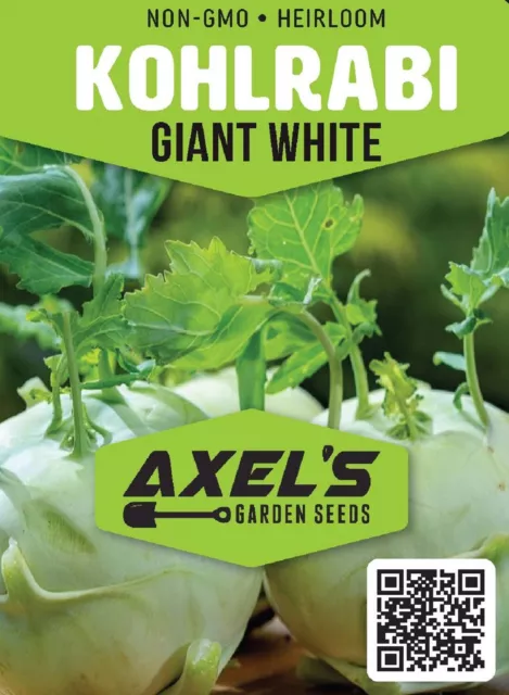 Giant White Kohlrabi Seeds | Heirloom | Non-GMO | Fresh Garden Seeds 2