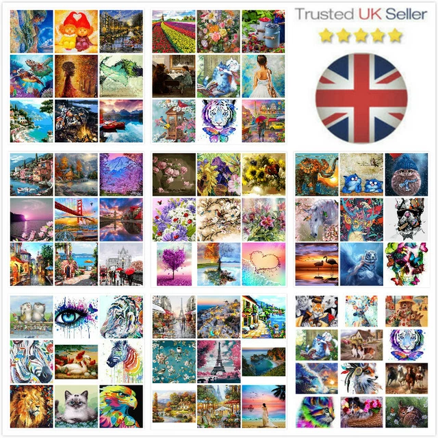 DIY Oil Acrylic Painting Kit Paint By Numbers Adult Children Beginners Frameless