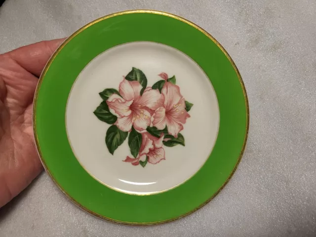 Syracuse Greenbrier Resort Hotel Chesapeake & Ohio C&O RR China Plate 6 1/4"