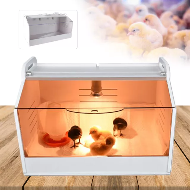 Poultry Brooding Incubator For Chicks / Birds / Hand Raised Parrot / Reptile NEW