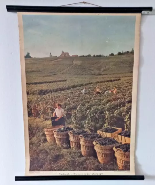 1951 Schulwandkarte Schul-Rollkarte Lehrtafel Weinlese in der Champange