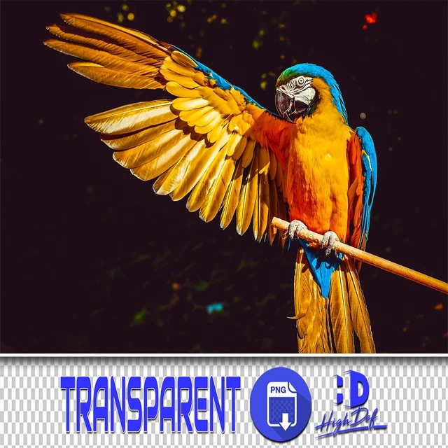 400 Loros, Gorrión Transparente Png Photoshop Superposiciones, Animales Aislados Png