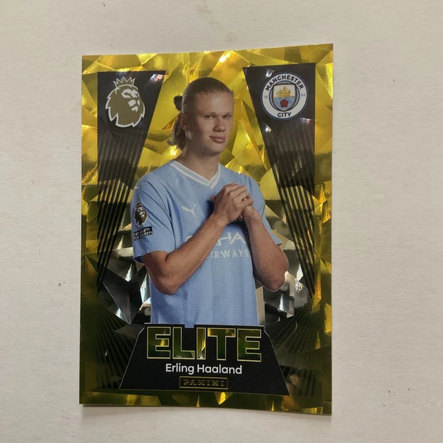 PANINI PREMIER LEAGUE 2024 STICKERS COLLECTION Erling Haaland Elite No