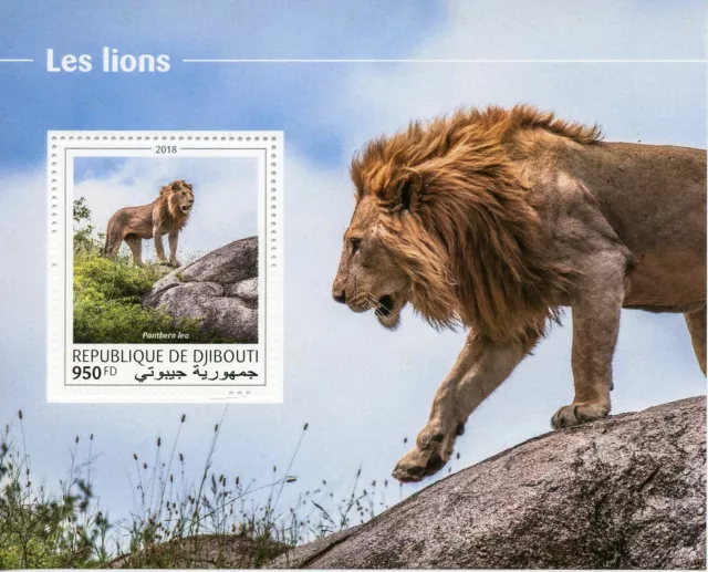 Djibouti Lions Stamps 2018 MNH Big Cats Wild Animals Fauna 1v S/S