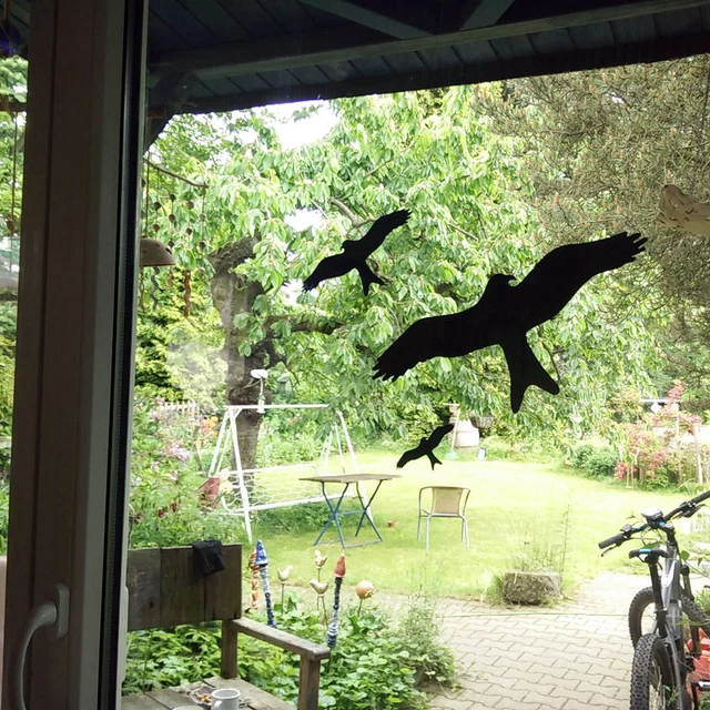 Vogelschutz-Aufkleber Für Fenster – 12 Stück Greifvogel-Silhouetten In Dunkelgrau
