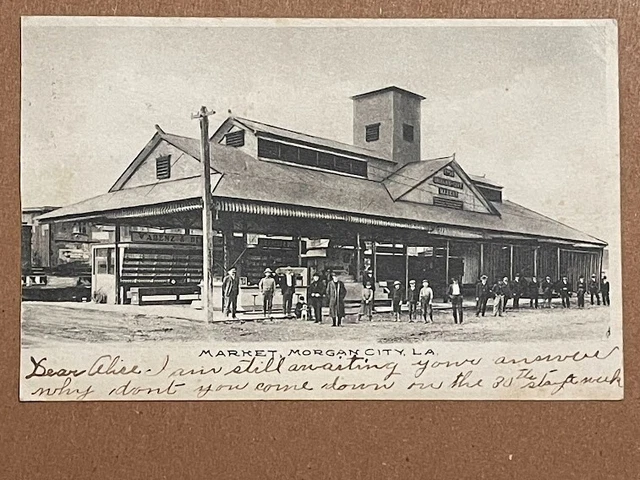 Vintage Postcard Louisiana Market, Morgan City, La. 1908