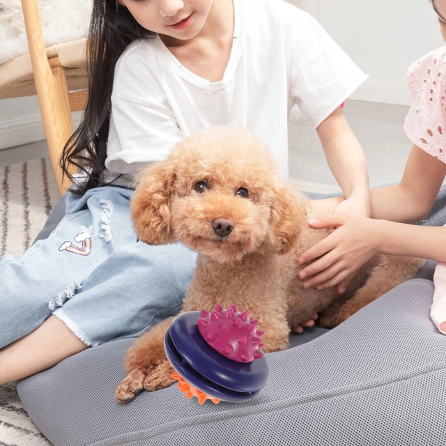 Kreativer Hund behandeln Spender Haustier Schleifspielzeughund Interaktiver