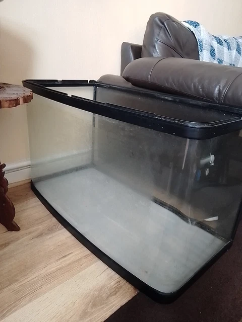 Fish Tank