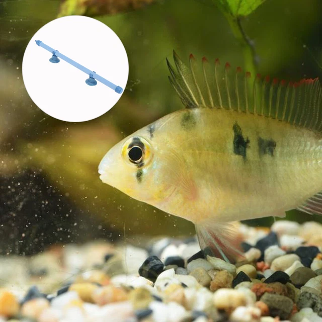 Pietra Da Aria Hygger Per Acquario - Diffusore Di Ossigeno A Microbolle, Con Tubo E Ventose - Foto 13