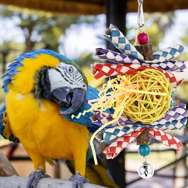 1Pc Papagei Käfig Biss Spielzeug Quaker Papagei Spielzeug Vogel Spielzeug