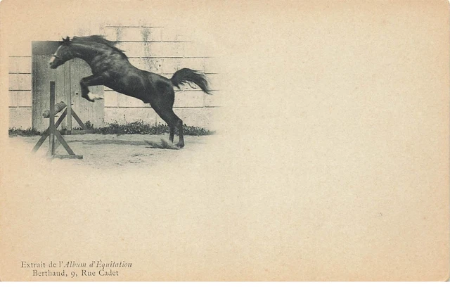 Equitation #25988 Album Equitation Sport Ecole Cavalerie Rue Cadet Saut Du Cheva