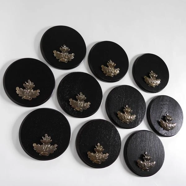 10 X Keilerschilder Gewaffbrett Oscuro AF19cm Con 10 Hoja de Roble Grande 3