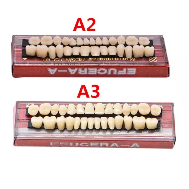 15 Sets Dental Acrylic Resin Denture A2 A3 Shade False Teeth Upper Lower #23
