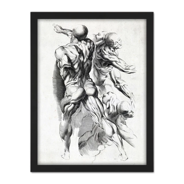ANATOMIE STUDIUM MUSKELN Mann Rücken Beine Arme Zeichnen gerahmt ...