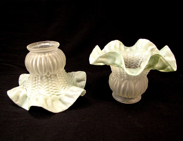 2 Anciennes Tulipes de Lampe en Verre