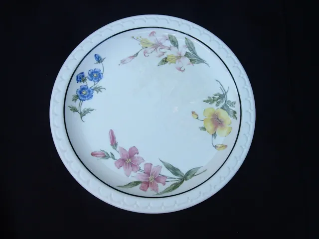 Southern Pacific Lines Dinner Plate Prairie Mountain Wildflower RRBS 1940