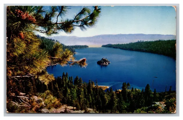 South Lake Tahoe CA Emerald Bay Pine Cones Chrome Postcard Posted 1960