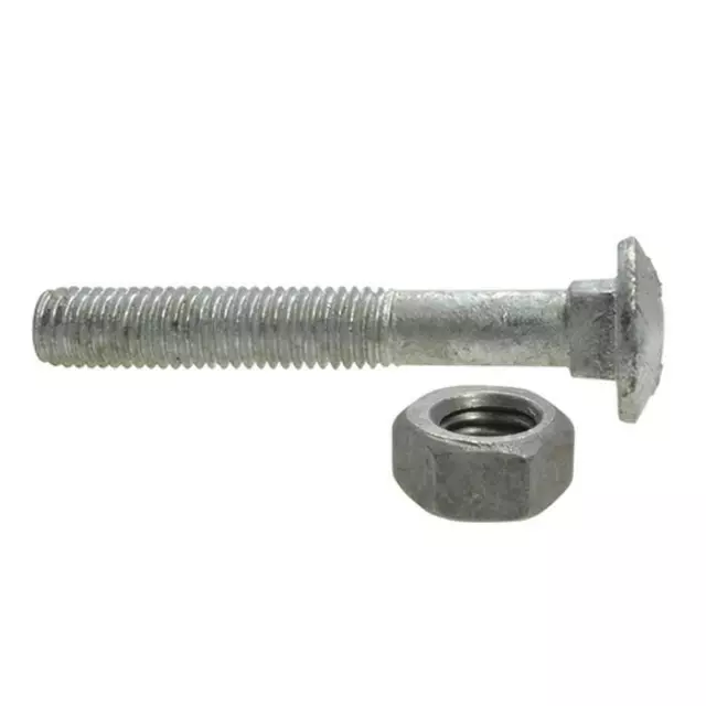 Qty 50 Cup Head M10 (10mm) x 40mm Galvanised Bolt Nut Galv Treated Pine Coach 3