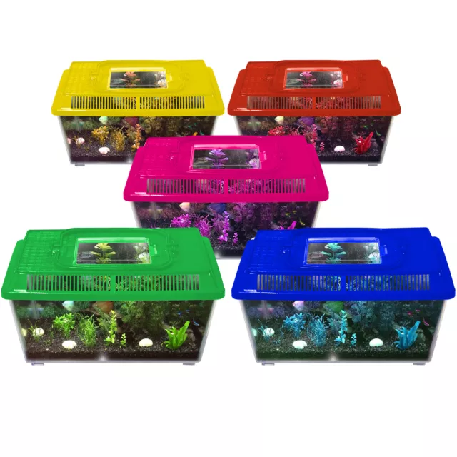 Plastic Fish Tank with Handle | Aquarium, Terrarium | Choose Size & Colour