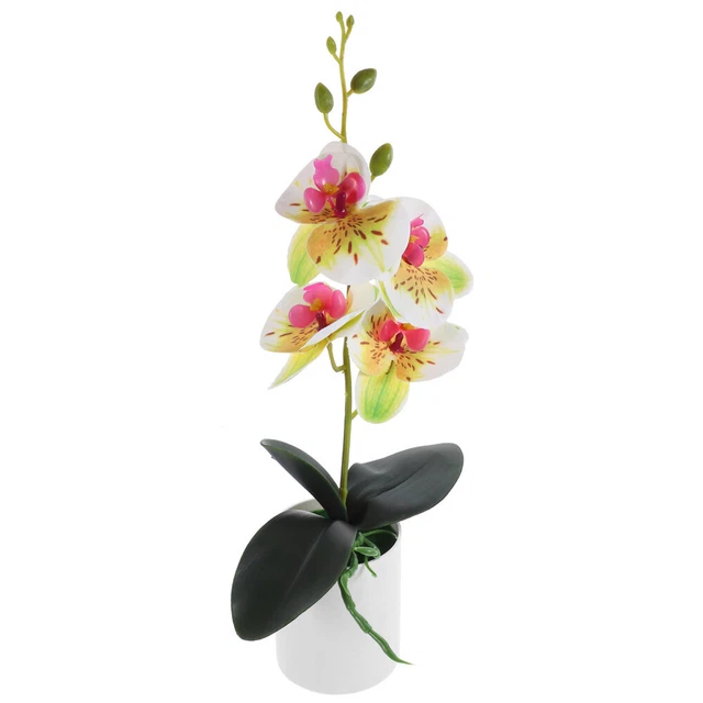 Winomo 4 Piante Grasse Artificiali In Vaso – Mini Bonsai Finti Verdi Per Decorazione Casa, Ufficio, Scrivania