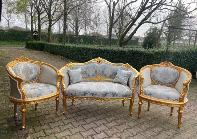 Exquisite Corbeille Sofa Set: Embodying French Louis XVI Elegance - Circa 1900