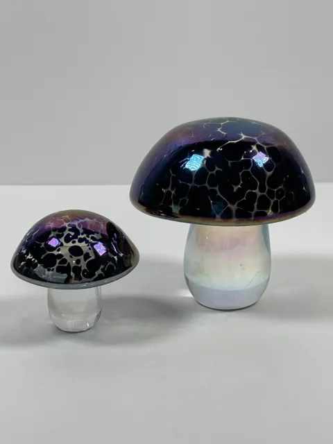 John Ditchfield 2 Glasform Glass Mushroom Dark Iridescent Paperweights 7cm 4.5cm