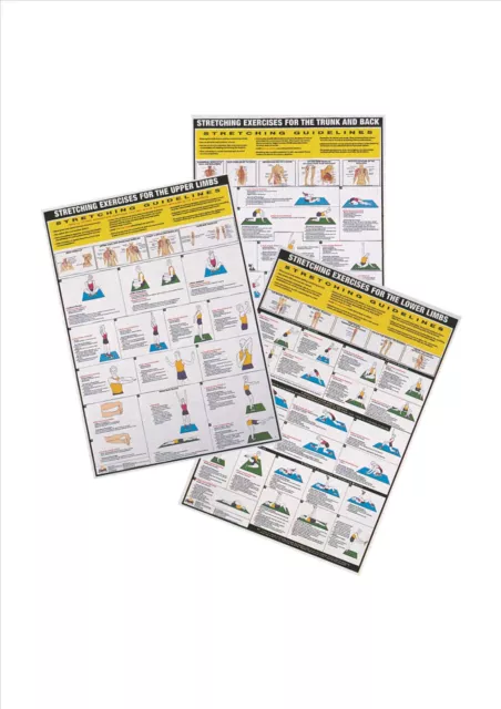 Stretching Exercise Posters