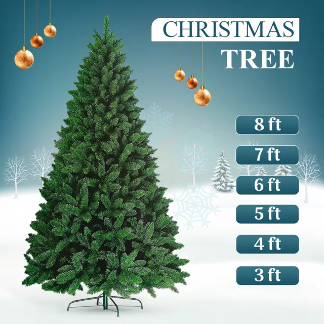 Christmas Tree Colorado Spruce 4ft 5ft 6ft Metal Stand Xmas Bushy Pine Branches