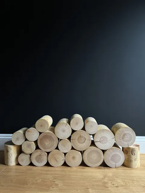 The Little Bundle of Decorative Logs - 12cm Long Fine Sawn Both Ends KD  Birch
