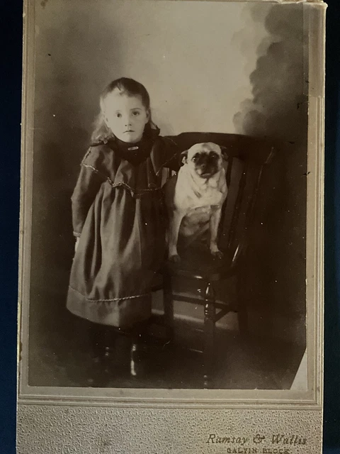 Pug Cabnet Card