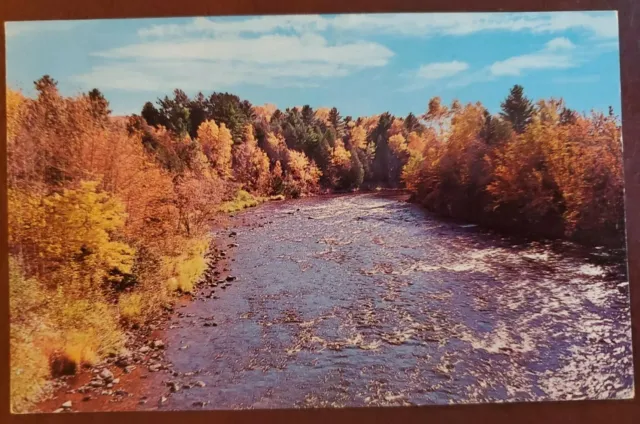 Paint River at Crystal Falls Michigan in UP Vtg Postcard w Crystal Falls xcel
