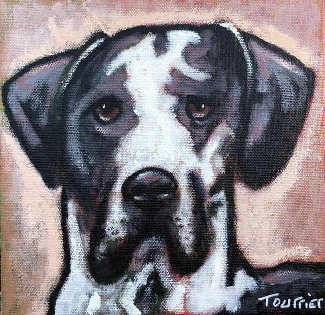 Tableau Peinture chien dogue allemand  Tourrier