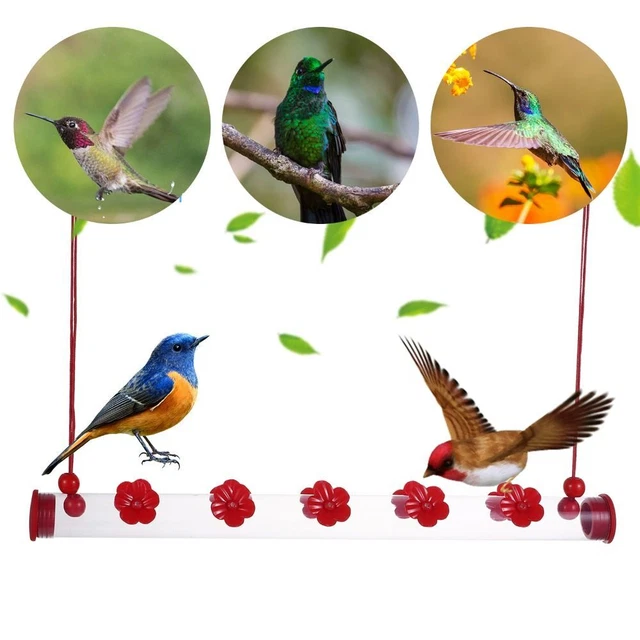 Mangeoires d'oiseaux bourrants Mangeoire pour oiseaux Fournitures pour oiseaux