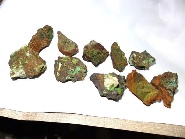 Minerales " Excelente Lote De 10  Conicalcitas De Mina Mapimi (Mejico)  - 2A24 "