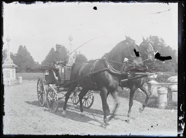 FRANCE Carriole c1920 photo NEGATIVE glass plate vintage V24L16n