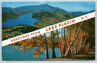 Postcard NY Banner Dual View Greetings from Lake Placid New York Vintage P4