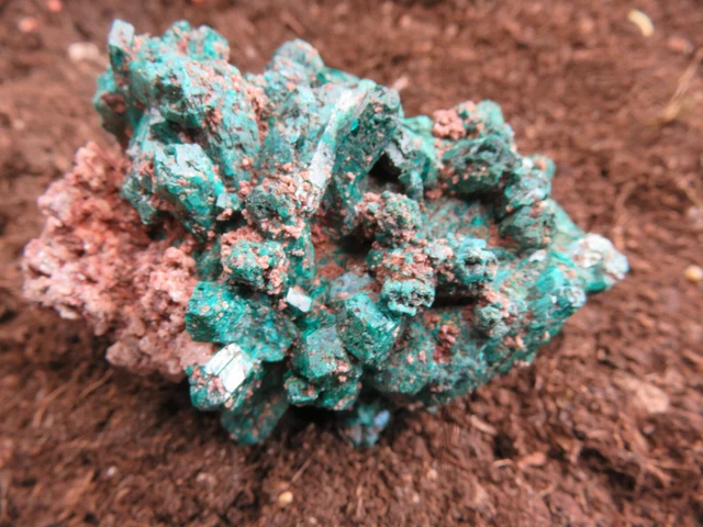 Dioptas aus Namibia