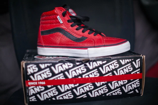 vans hosoi sk8 hi