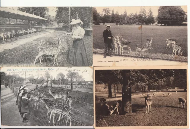 Lot de 4 cartes postales anciennes old postcards LYON Parc de la tête d'or DAIMS