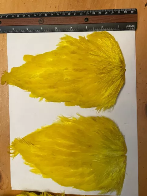 Hen  Saddle Patch YELLOW 3