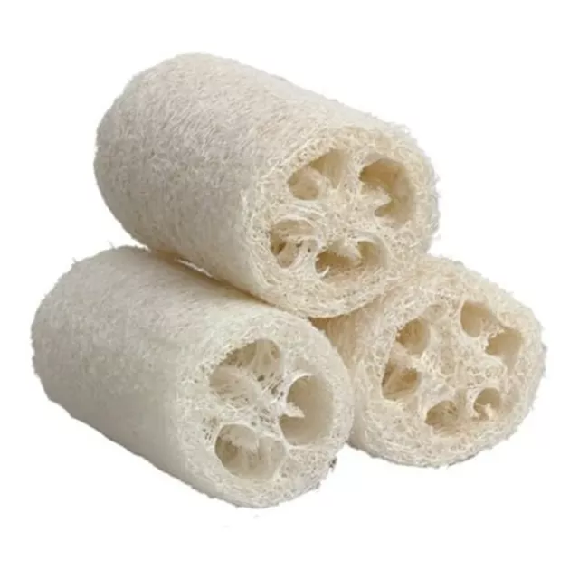 50 éPonges de Bain Exfoliantes Naturelles en Loofah, éPonge en Luffa BiodéG3705