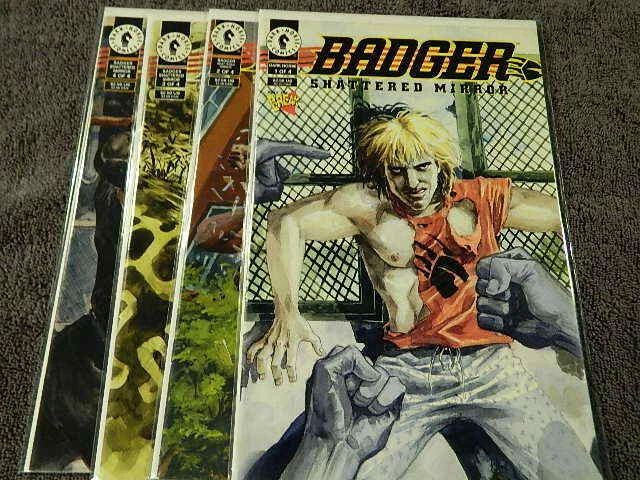 1994 DARK HORSE Comics BADGER Shattered Mirror #1-4 Complete Series Set - VF/NM
