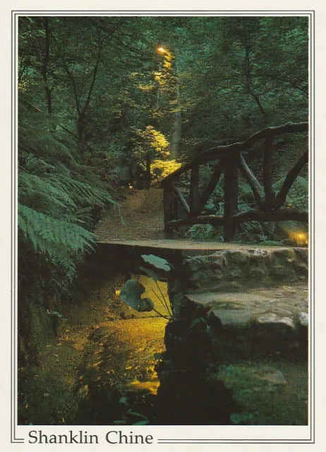 postcard - SHANKLIN CHINE, Isle of Wight, Woodland scene by night