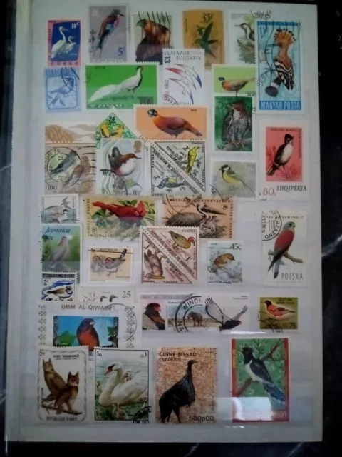 Vögel Birds Pajaros Lot Timbres Stamps Briefmarken Sellos