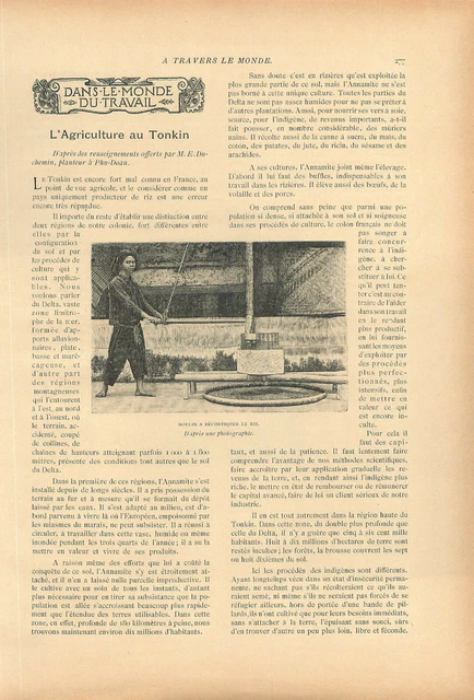 Agriculture au Tonkin moulin à décortiquer le riz Annam au Vietnam GRAVURE 1896