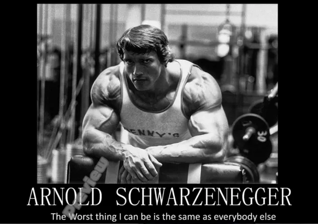 Arnold Schwarzenegger Gym Motivation Terminator Movie Poster Wall Art Decor A4
